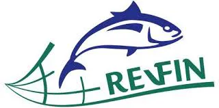 DU AN REVFIN