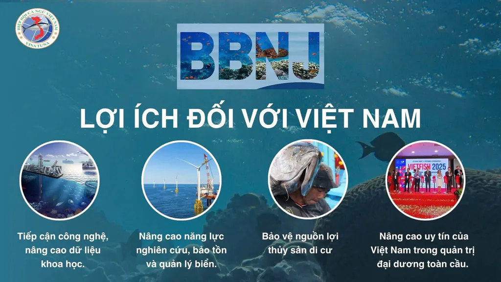 Hiệp định theo Công ước của Liên Hợp Quốc về Luật Biển về bảo tồn và sử dụng bền vững đa dạng sinh học biển tại các vùng nằm ngoài phạm vi quyền tài phán quốc gia (BBNJ) chính thức có hiệu lực
