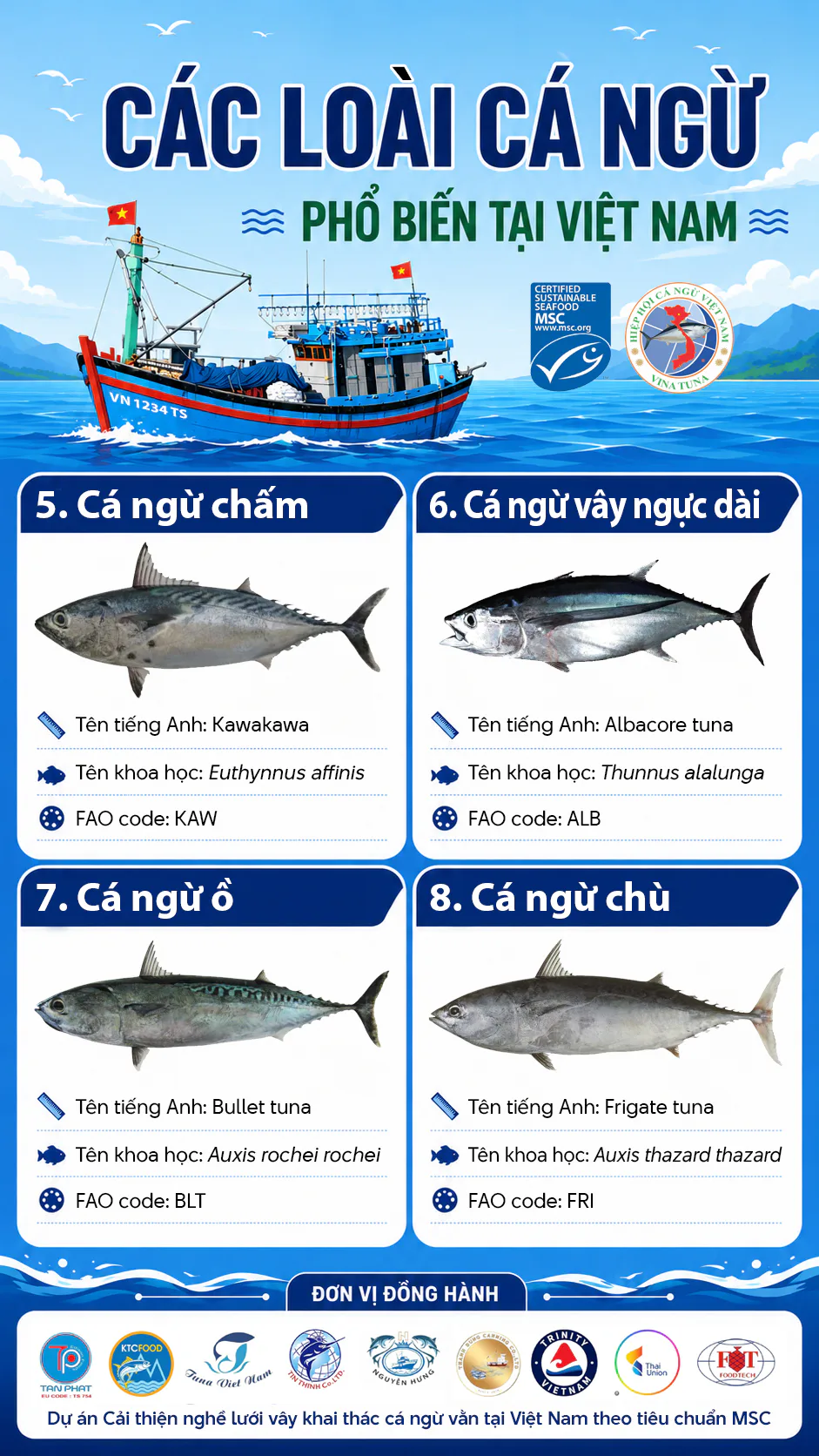 Cá ngừ tt 2.jpg